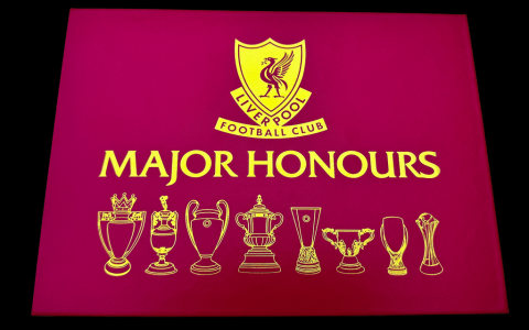 Premier League Trophy Replica Gift Perfect Idea for Football Fans