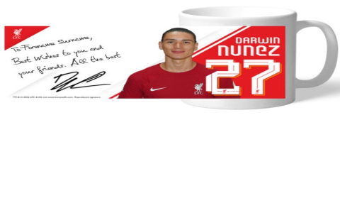 How much are Liverpool FC mugs? Price guide for the best designs.