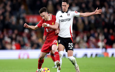 Where to Find Reliable Estadisticas de Fulham contra Liverpool FC Data