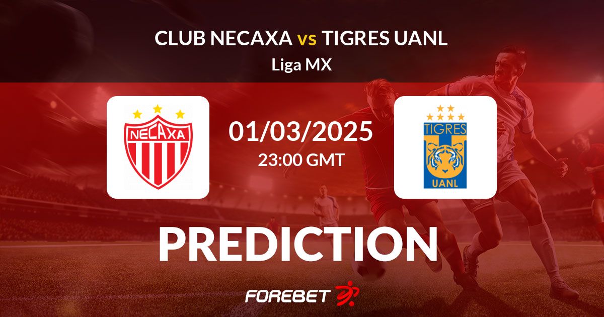 How to analyze Necaxa vs Club Tigres statistics? (Simple guide for beginners)