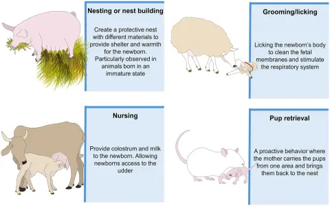 Who is Guillermo Martínez Ayala? (quick facts revealed now!)